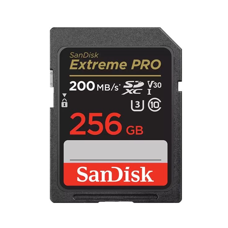 MicroSD Card (256GB)